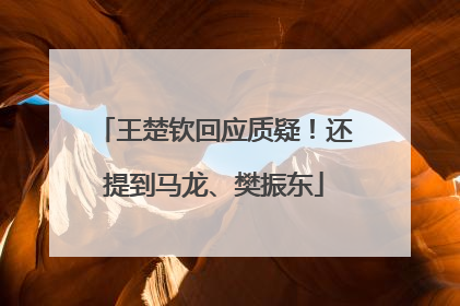 王楚钦回应质疑！还提到马龙、樊振东