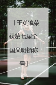 王英镇荣获第七届全国文明镇称号