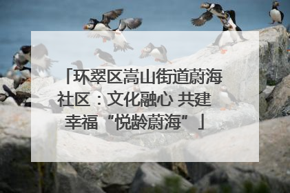 环翠区嵩山街道蔚海社区：文化融心 共建幸福“悦龄蔚海”