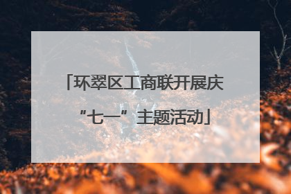 环翠区工商联开展庆“七一”主题活动