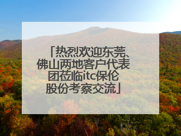 热烈欢迎东莞、佛山两地客户代表团莅临itc保伦股份考察交流