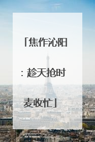 焦作沁阳：趁天抢时麦收忙