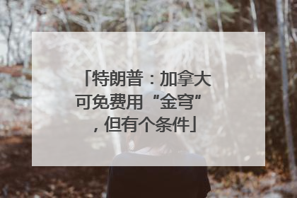 特朗普：加拿大可免费用“金穹”，但有个条件