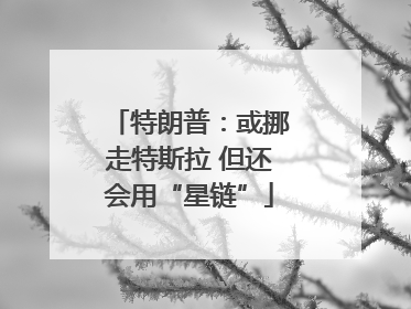 特朗普:或挪走特斯拉 但还会用“星链”