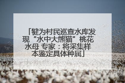 犍为村民巡查水库发现“水中大熊猫”桃花水母 专家：将采集样本鉴定具体种属