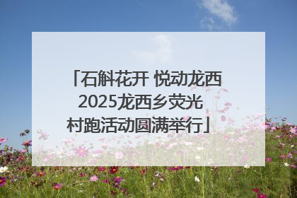 石斛花开 悦动龙西 2025龙西乡荧光村跑活动圆满举行
