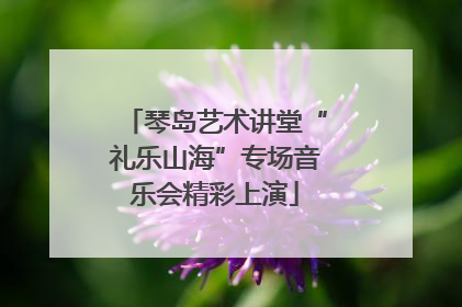 琴岛艺术讲堂“礼乐山海”专场音乐会精彩上演