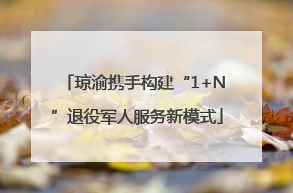 琼渝携手构建“1+N”退役军人服务新模式
