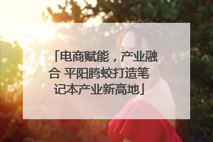 电商赋能，产业融合 平阳腾蛟打造笔记本产业新高地