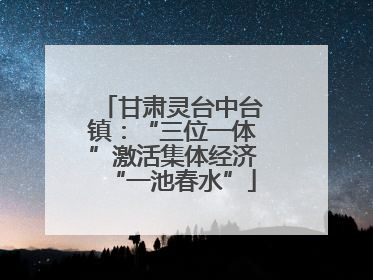 甘肃灵台中台镇：“三位一体”激活集体经济“一池春水”