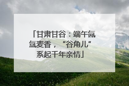 甘肃甘谷：端午氤氲麦香，“谷角儿”系起千年亲情