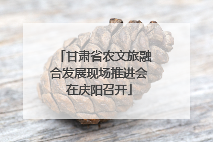 甘肃省农文旅融合发展现场推进会在庆阳召开