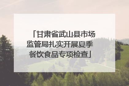 甘肃省武山县市场监管局扎实开展夏季餐饮食品专项检查