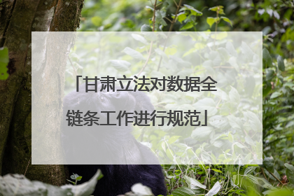 甘肃立法对数据全链条工作进行规范