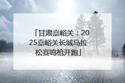 甘肃嘉峪关：2025嘉峪关长城马拉松赛鸣枪开跑