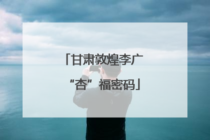甘肃敦煌李广“杏”福密码