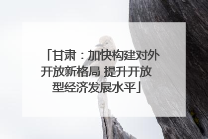 甘肃：加快构建对外开放新格局 提升开放型经济发展水平