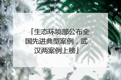 生态环境部公布全国先进典型案例，武汉两案例上榜
