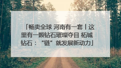畅卖全球 河南有一套丨这里有一颗钻石璀璨夺目 柘城钻石：“链”就发展新动力