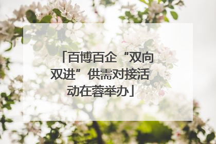 百博百企“双向双进”供需对接活动在蓉举办
