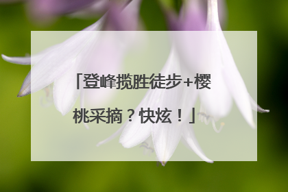 登峰揽胜徒步+樱桃采摘？快炫！