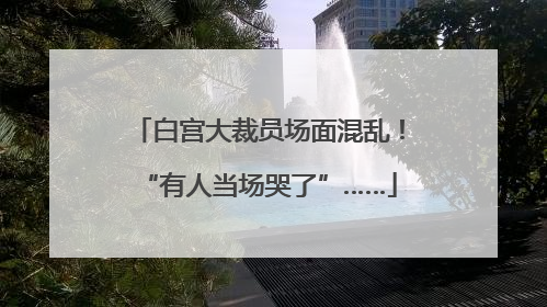 白宫大裁员场面混乱！“有人当场哭了”……