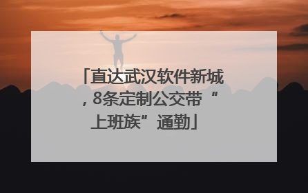 直达武汉软件新城，8条定制公交带“上班族”通勤