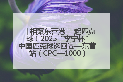 相聚东营港 一起匹克球！2025“李宁杯”中国匹克球巡回赛—东营站（CPC—1000）暨“好运山东”黄河口匹克球公开赛落幕