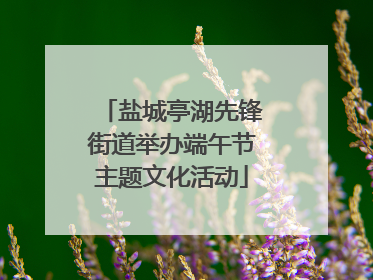 盐城亭湖先锋街道举办端午节主题文化活动