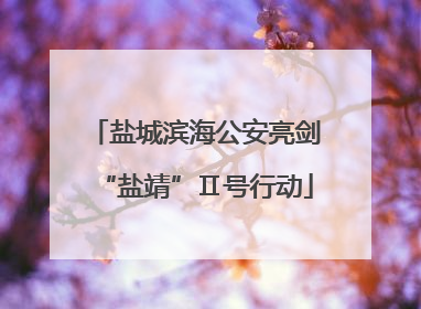 盐城滨海公安亮剑“盐靖”Ⅱ号行动