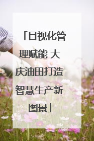 目视化管理赋能 大庆油田打造智慧生产新图景