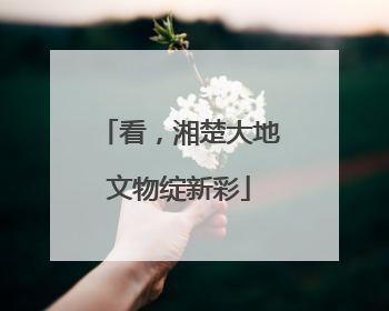 看，湘楚大地文物绽新彩