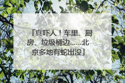 真吓人！车里、厨房、垃圾桶边……北京多地有蛇出没