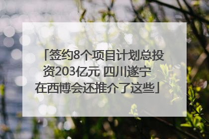 签约8个项目计划总投资203亿元 四川遂宁在西博会还推介了这些