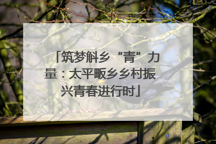 筑梦斛乡“青”力量：太平畈乡乡村振兴青春进行时