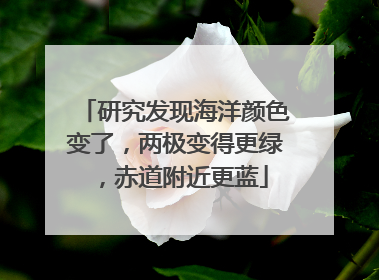 研究发现海洋颜色变了，两极变得更绿，赤道附近更蓝