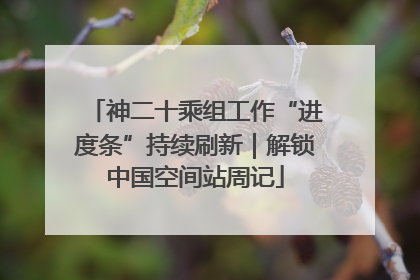 神二十乘组工作“进度条”持续刷新｜解锁中国空间站周记