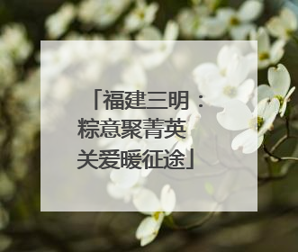 福建三明：粽意聚菁英 关爱暖征途