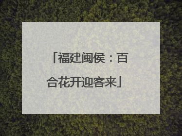 福建闽侯：百合花开迎客来