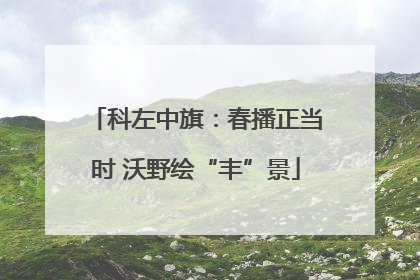 科左中旗：春播正当时 沃野绘“丰”景