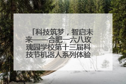 科技筑梦，智启未来——合肥一六八玫瑰园学校第十三届科技节机器人系列体验赛燃动校园