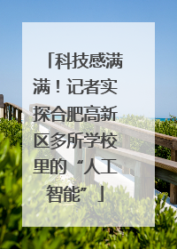 科技感满满！记者实探合肥高新区多所学校里的“人工智能”