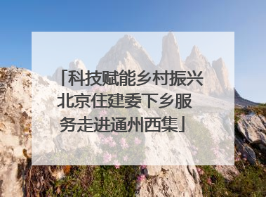 科技赋能乡村振兴 北京住建委下乡服务走进通州西集