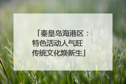 秦皇岛海港区：特色活动人气旺 传统文化焕新生
