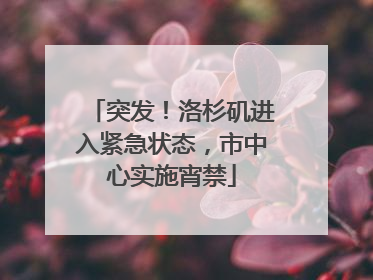 突发！洛杉矶进入紧急状态，市中心实施宵禁