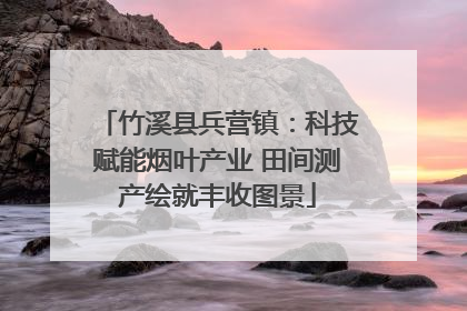 竹溪县兵营镇：科技赋能烟叶产业 田间测产绘就丰收图景