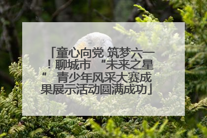 童心向党 筑梦六一！聊城市 “未来之星” 青少年风采大赛成果展示活动圆满成功