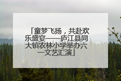 童梦飞扬，共赴欢乐盛宴——庐江县同大镇农林小学举办六一文艺汇演