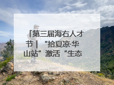 第三届海右人才节｜“拾夏凉·华山站”激活“生态聚才”强磁场