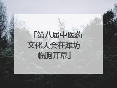 第八届中医药文化大会在潍坊临朐开幕